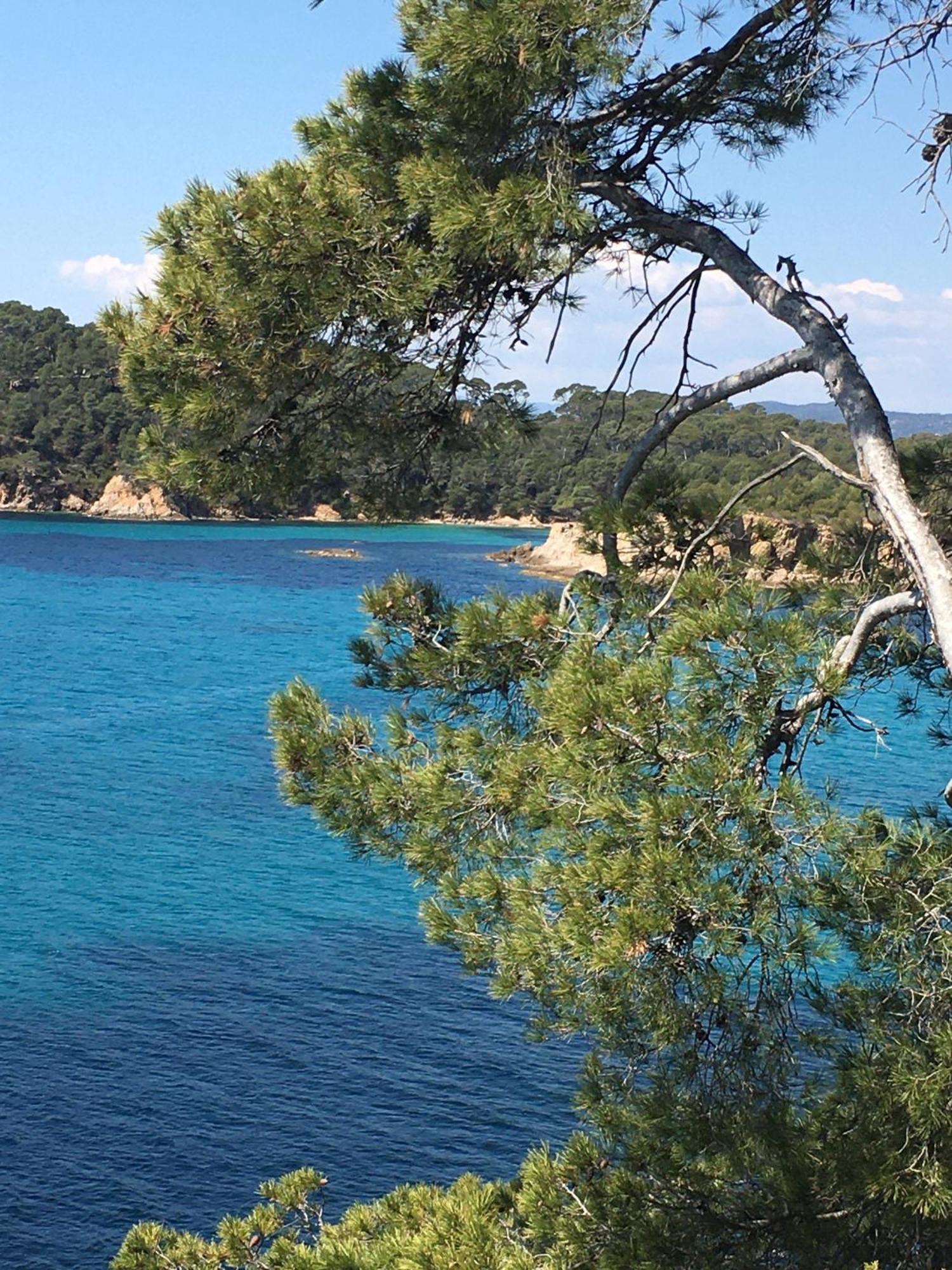 T3 Front De Mer Dernier Etage Vue Mer Petit Havre De Paix Pour Vos Vacances Emplacement Unique Vue Mer Panoramique A 180 Degres Pour Ce T3 En Face De La Plage Front De Mer Vue Sur Les Iles 5 Et Dernier Etage Avec Ascenseur Le Lavandou Dış mekan fotoğraf